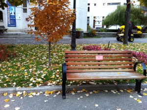 IMG_0215 IMG 0215