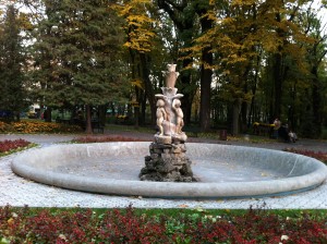 IMG_0221 IMG 0221