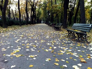 IMG_0245 IMG 0245