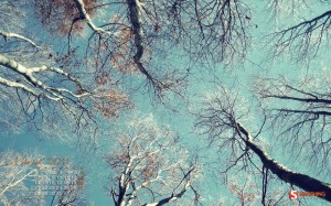 daydream__69 daydream 69
