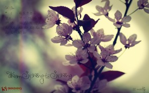 may-11-fromspringtospring__40-calendar-1280x800 may 11 fromspringtospring 40 calendar 1280x800