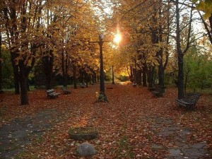 10_botanica-iasi3 10 botanica iasi3