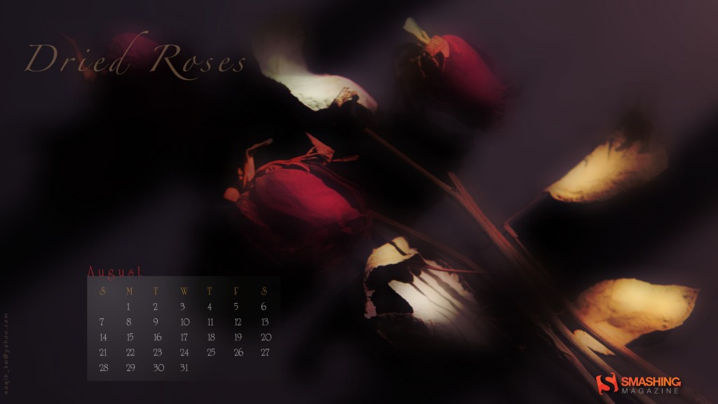 august-11-dried_roses__15-calendar-1920x1080 august 11 dried roses 15 calendar 1920x1080