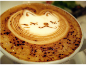 cat cat