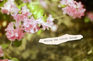 notice notice