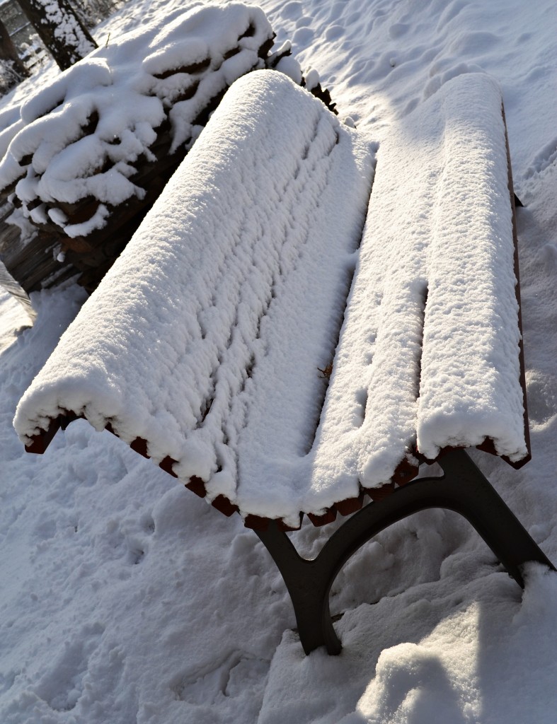 DSC_0252 DSC 0252