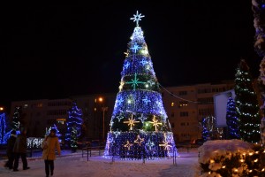DSC_0319 DSC 0319