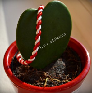 martisor_addicted_jpg martisor addicted