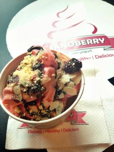 sanoberry-ice-cream-romania-jpg sanoberry ice cream romania jpg