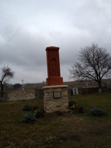 IMG_6206 IMG 6206