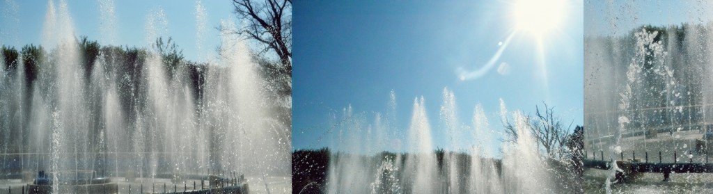 zi-de-vara-jpg racoreala