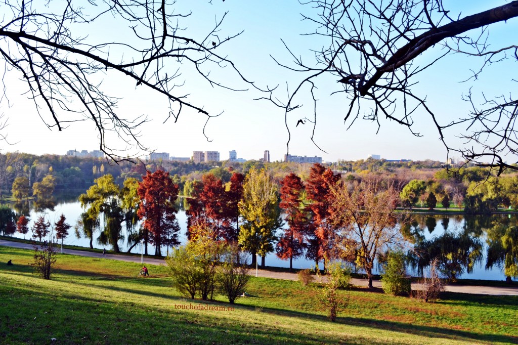 Miercurea fara cuvinte - Toamna in parc 13 toamna in parc jpg