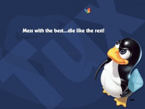 Programatorii de Linux 3 Funny Linux Wallpapers 3