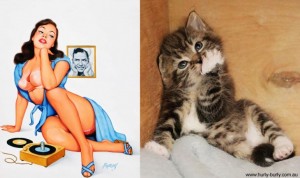Lectie de sex-appeal de la... pisici 49 pisici 11