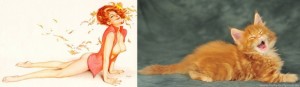 Lectie de sex-appeal de la... pisici 44 pisici 16
