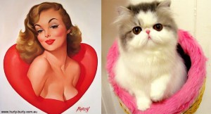 Lectie de sex-appeal de la... pisici 39 pisici 21