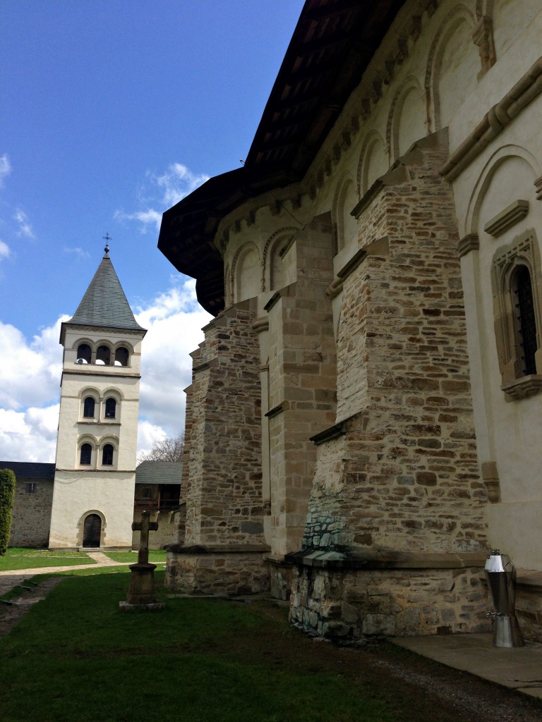 Plaiuri bucovinene 23 putna6