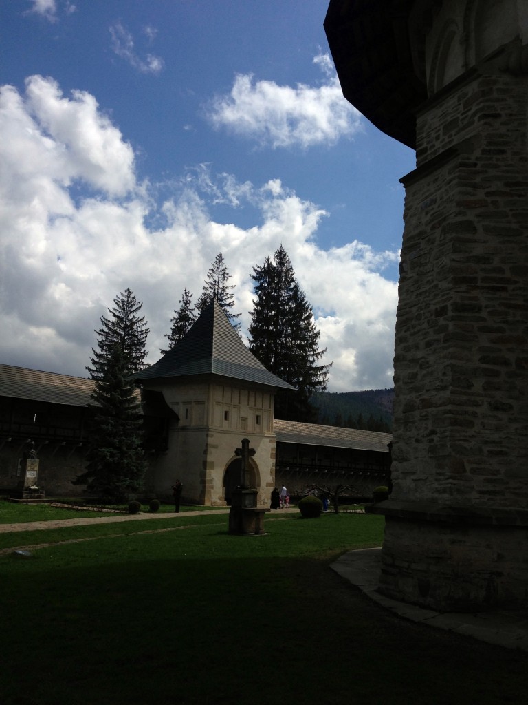 Plaiuri bucovinene 22 putna7