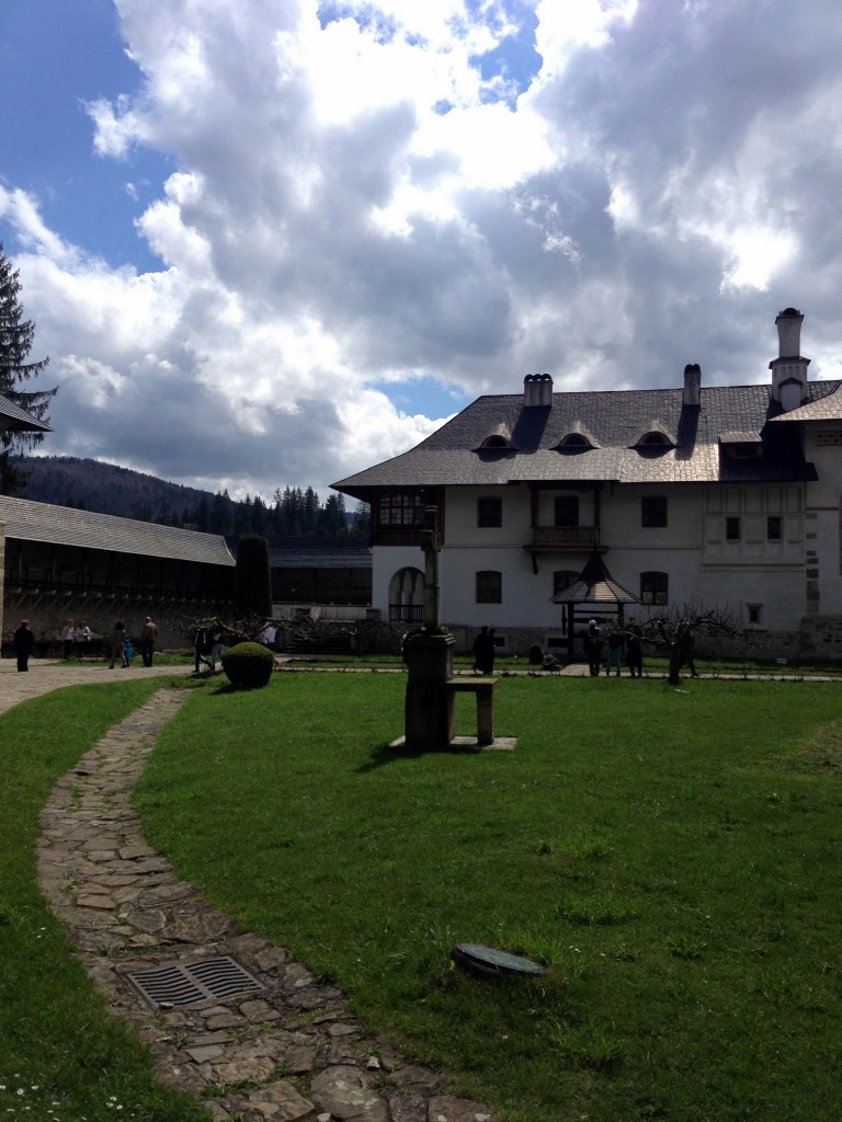 Plaiuri bucovinene 21 putna8