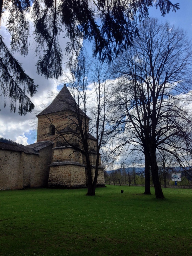 Plaiuri bucovinene 34 sucevita3