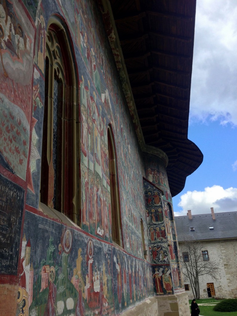Plaiuri bucovinene 30 sucevita7