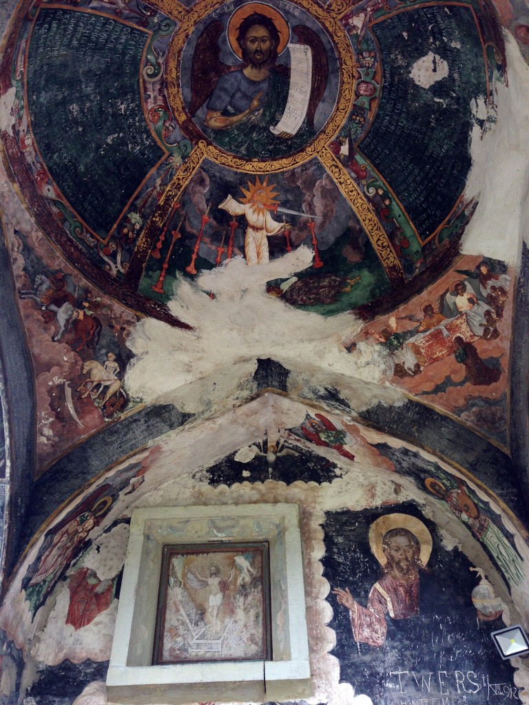 Plaiuri bucovinene 29 sucevita8
