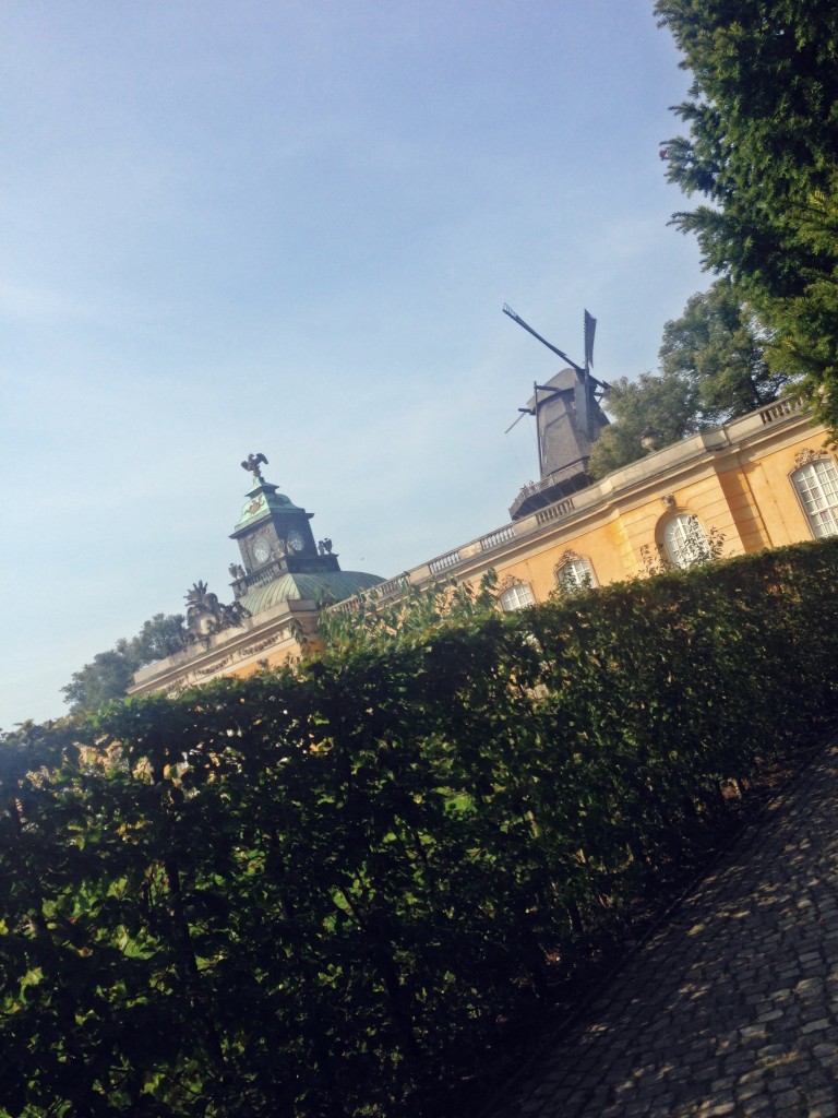 moara olandeza de vant Sanssouci 16