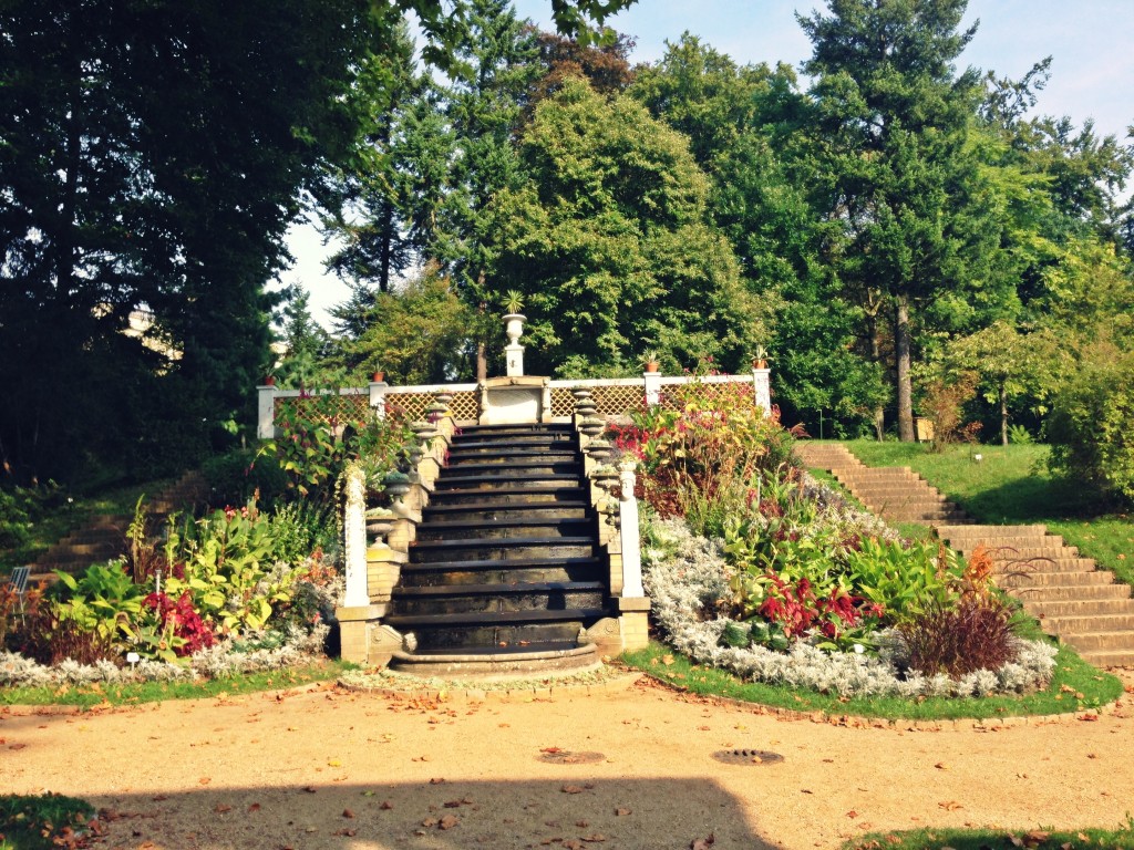 garden Sanssouci 20
