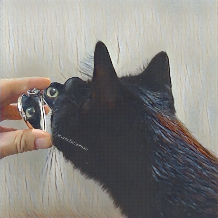 PrisMania- Prisma cat 6 prisma cat aplicatie