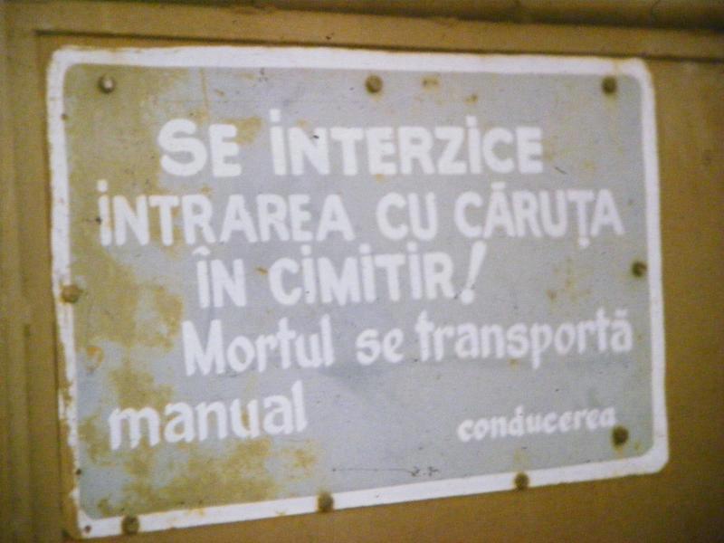 Stupid: Memento mori 7 memento mori