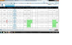 Foto: BAC-ul si..."ciucureii" 3 20130708 184852